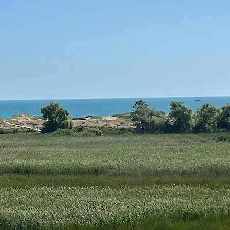 Pearl Sunshine Appartments Apartment *